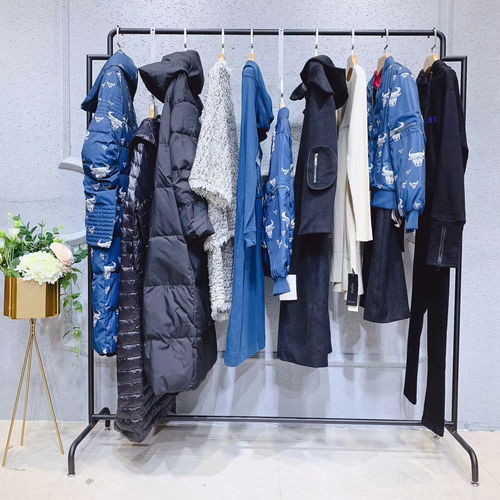 唯愛秋冬裝 達(dá)衣巖女裝新款羽絨服引領(lǐng)北方服裝市場(chǎng)潮流